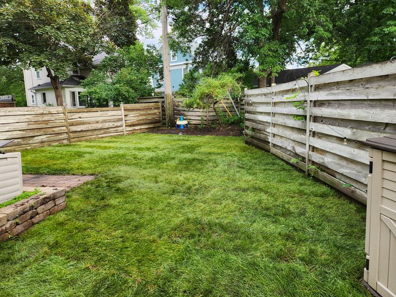 New grass