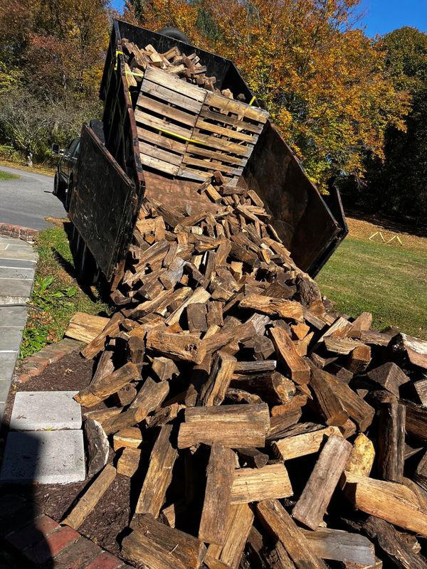 Tree Removal