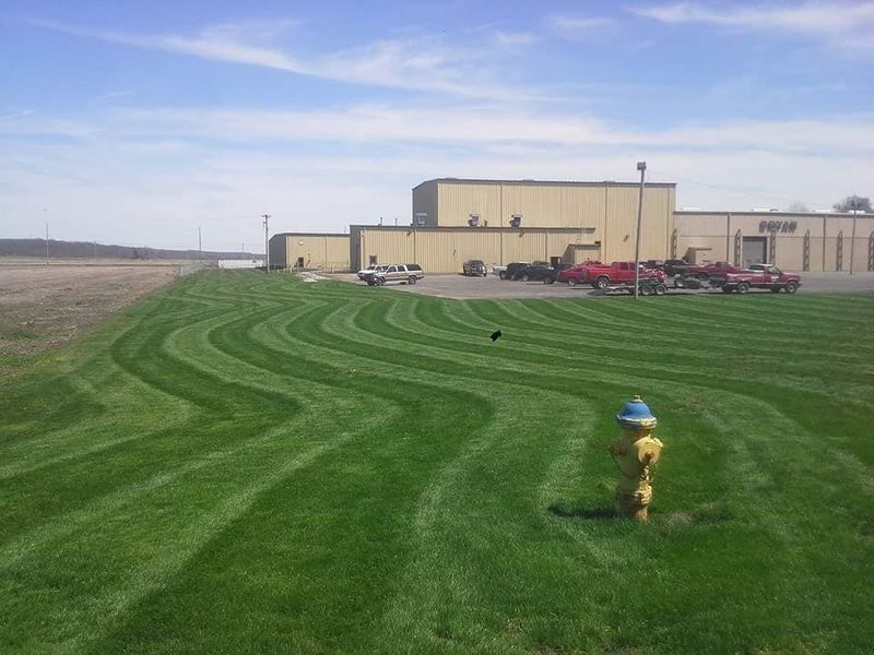 Lawn Mowing