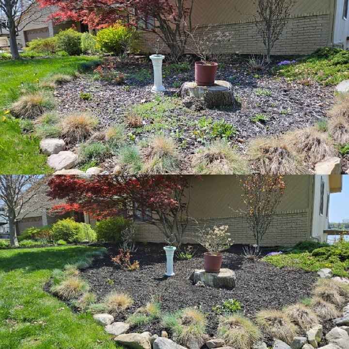 Fall Clean Up