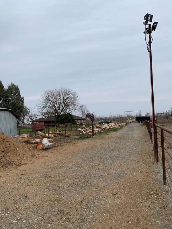 Tree Removal gallery