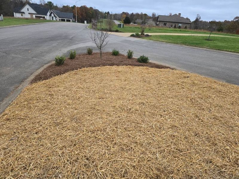 Landscaping