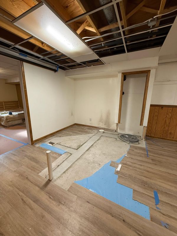 Basement Renovation