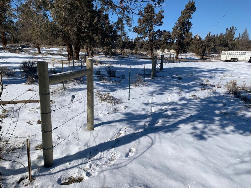 Barbed Wire Fencing