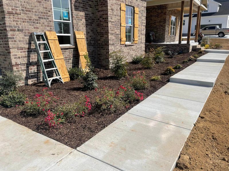 Landscape Installation and Design