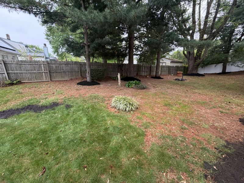 Lawn Maintenance