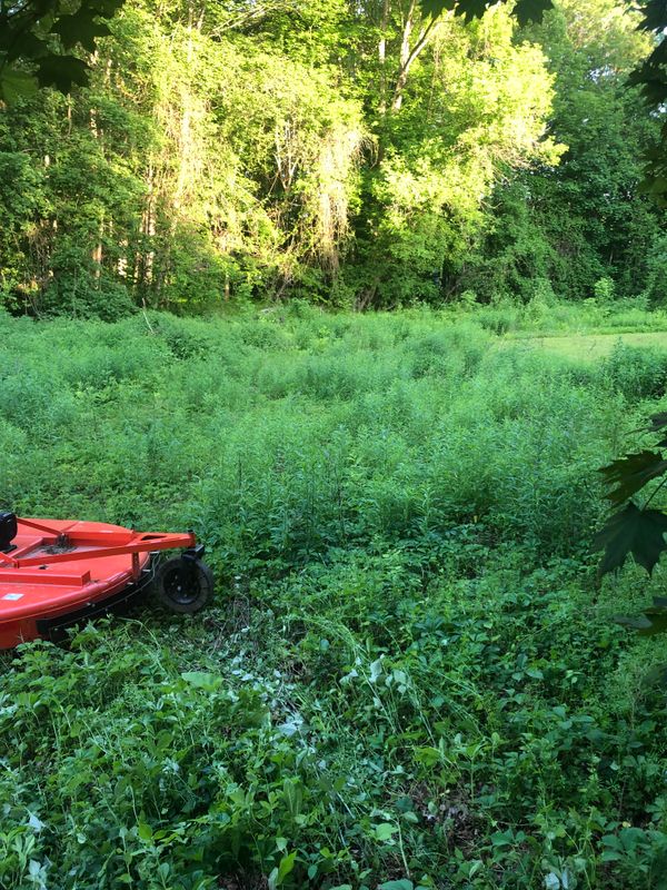 Brush Hogging