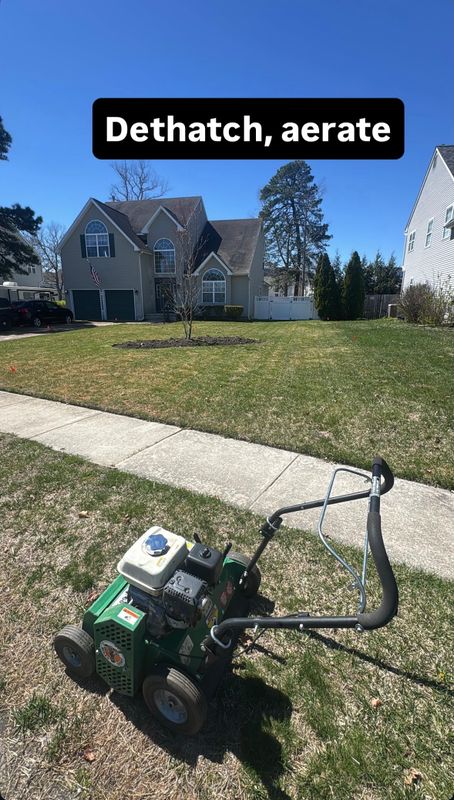 Aeration, Dethatching, Over-seeding