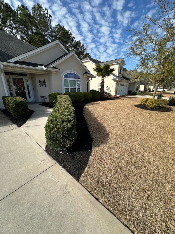 Mulch 