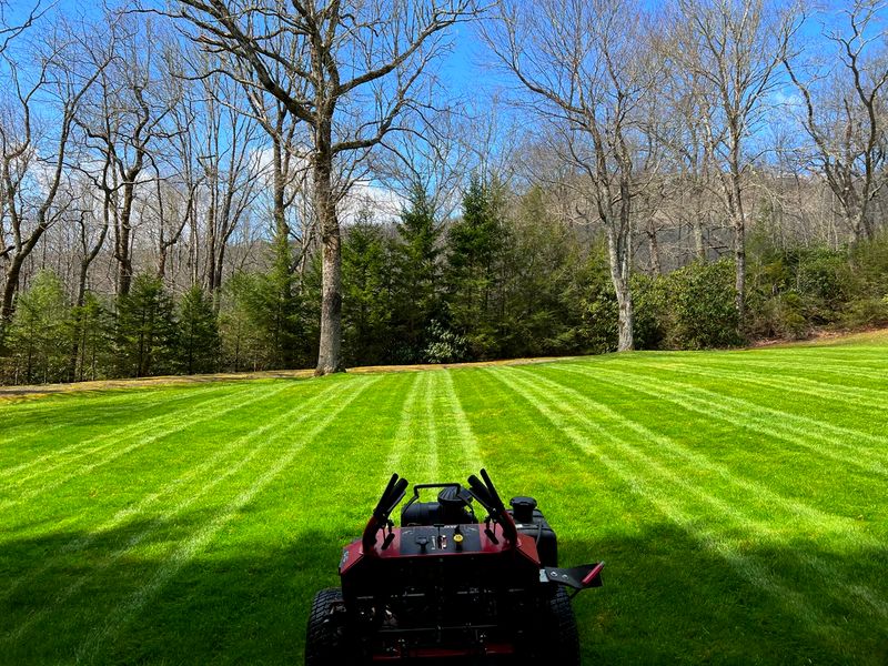 Mowing gallery