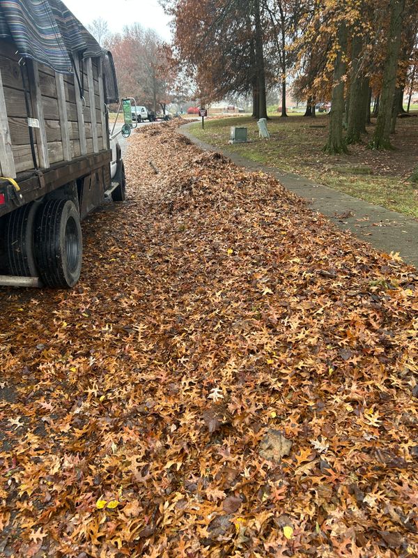 Fall Cleanups and Leaf Removal