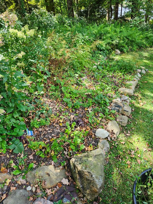 Muclhing & Weeding