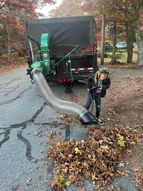 Fall CleanUp