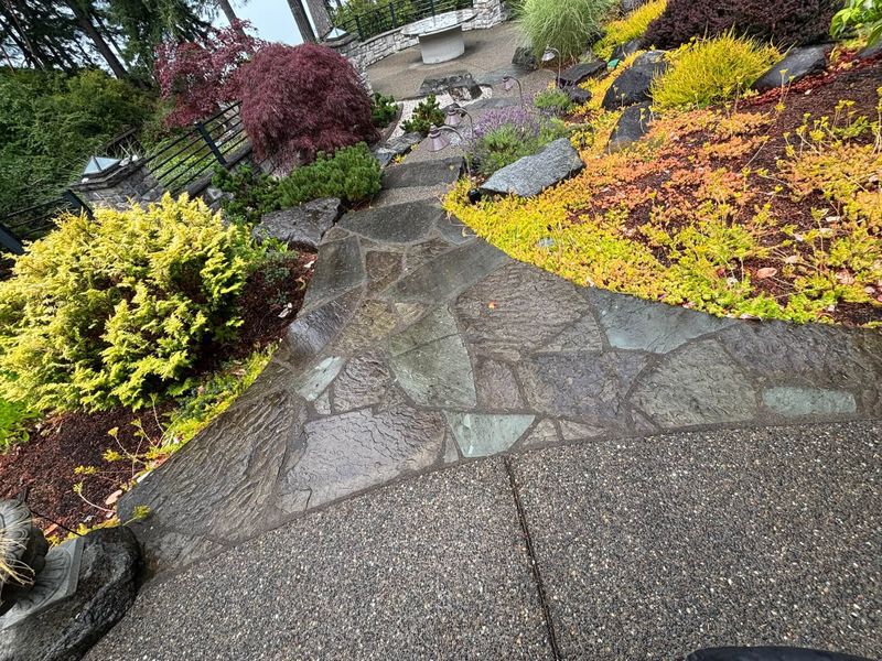 Pressure Washing