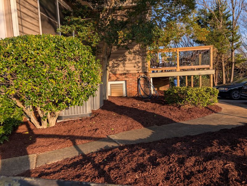 Mulch Installation