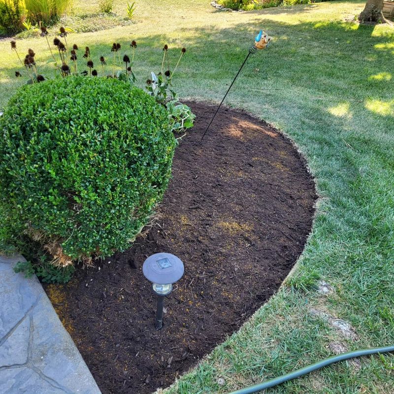 Landscaping