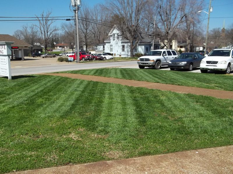 Landscaping