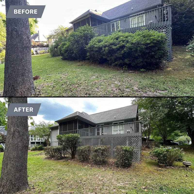 Shrub Trimming