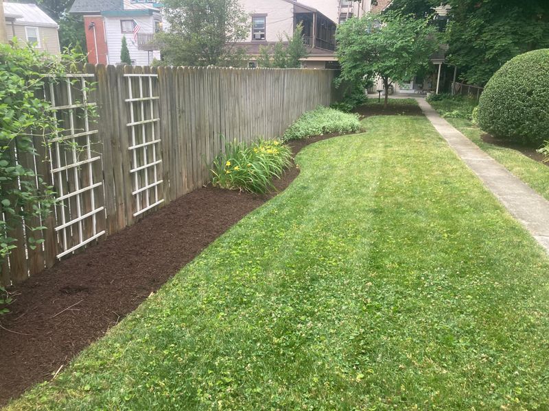 Lawn Maintenance