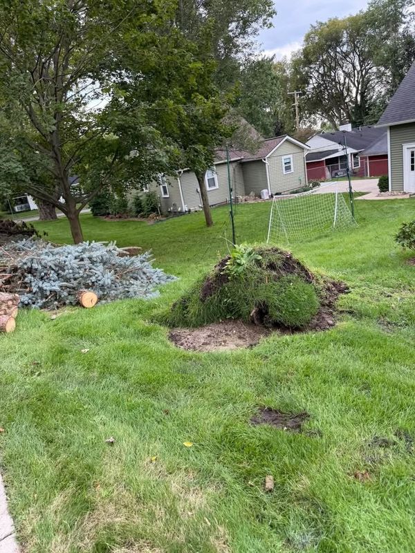 Land Clearing and Site Preparation