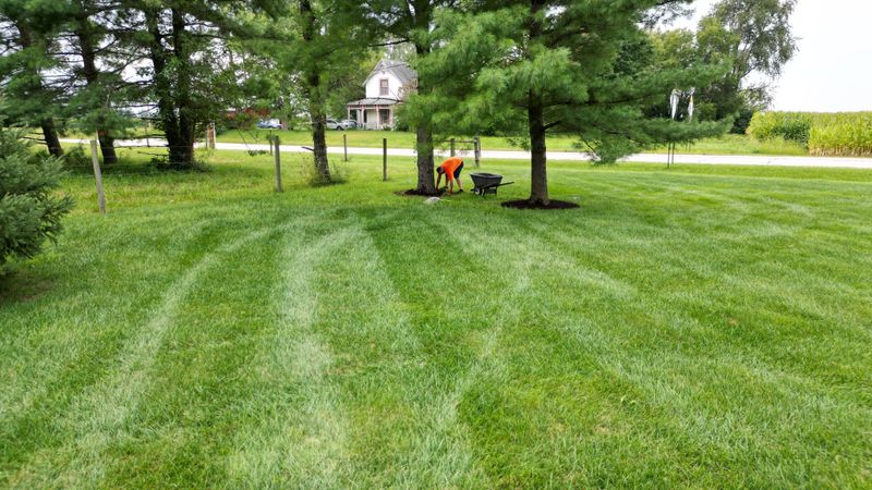 Lawn Care and Maintenance
