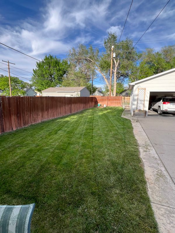 Landscaping