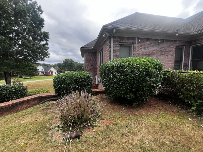 Tree & Shrub Care