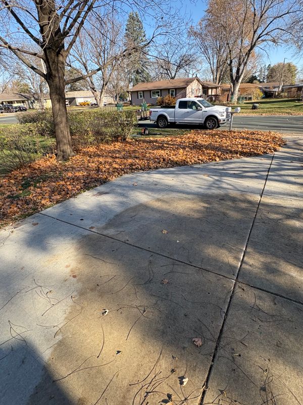 Seasonal Clean-Up Services