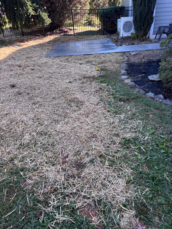 Fall Clean Up