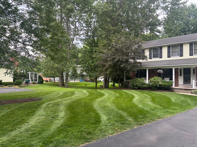Lawn Maintenance