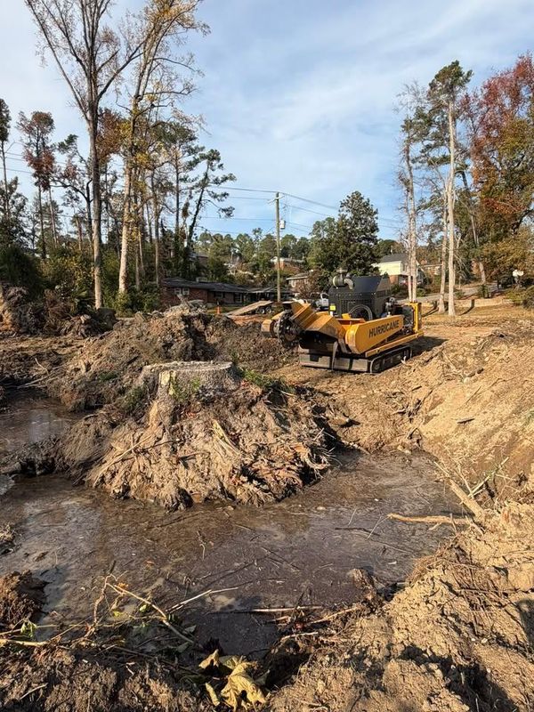 Stump Excavation