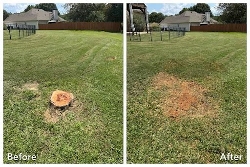 Stump Grinding & Removal