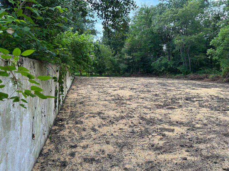 Land Clearing