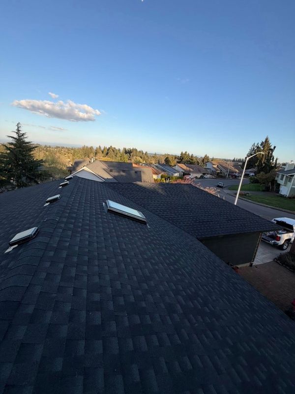 Roofing Repairs