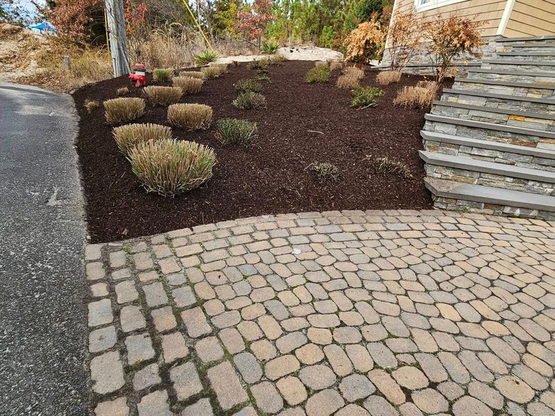 Landscape Design