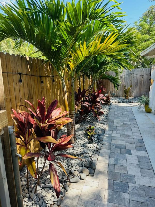"Seminole Sanctuary: Transforming Privacy with Areca Palms and Pine Bark Elegance"