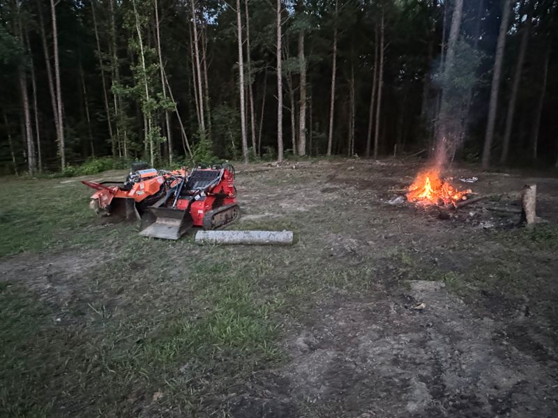 Stump Removal