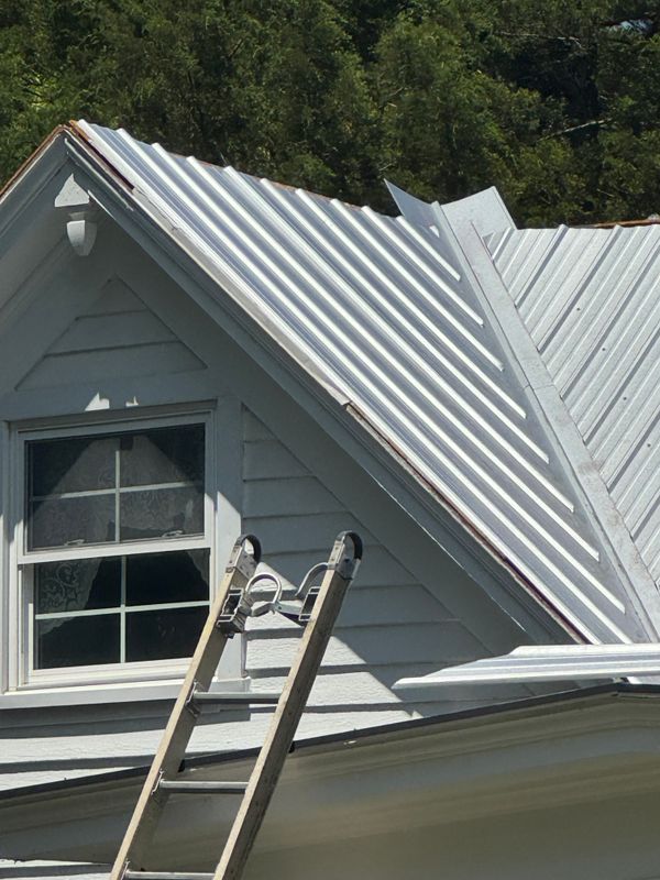 Metal Roofing