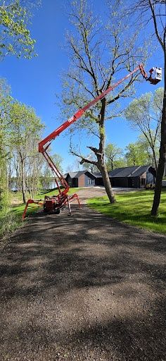 Tree Trimming