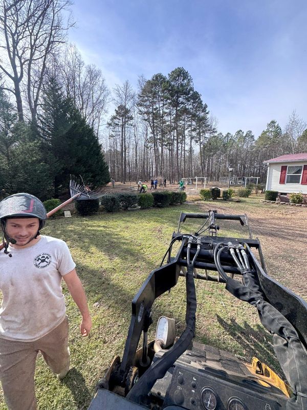 Tree Trimming