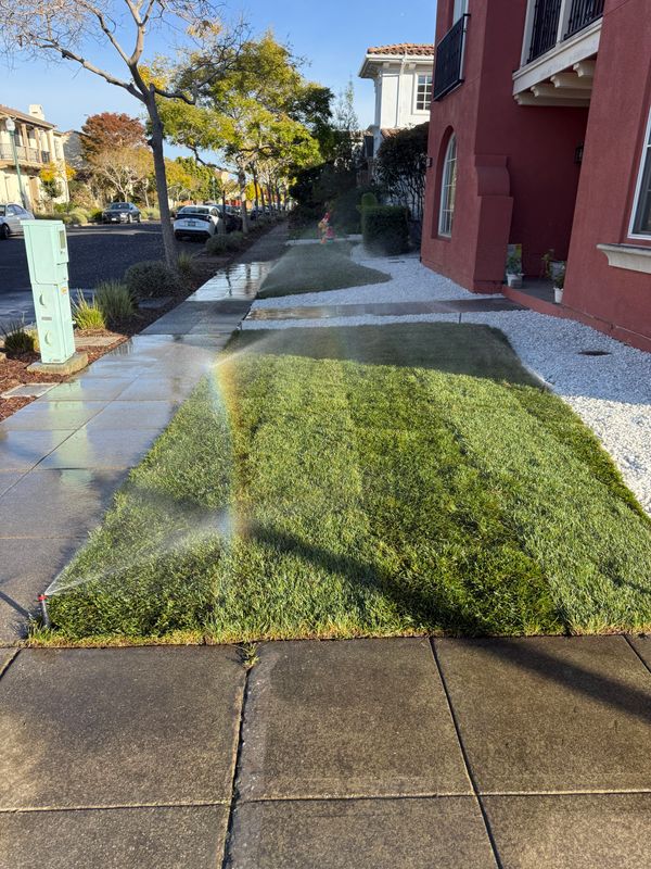 Landscaping