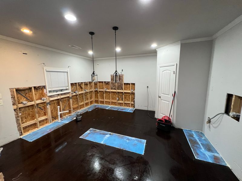 Kitchen Renovation