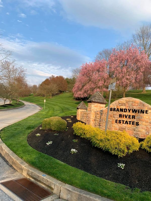 Landscape Design