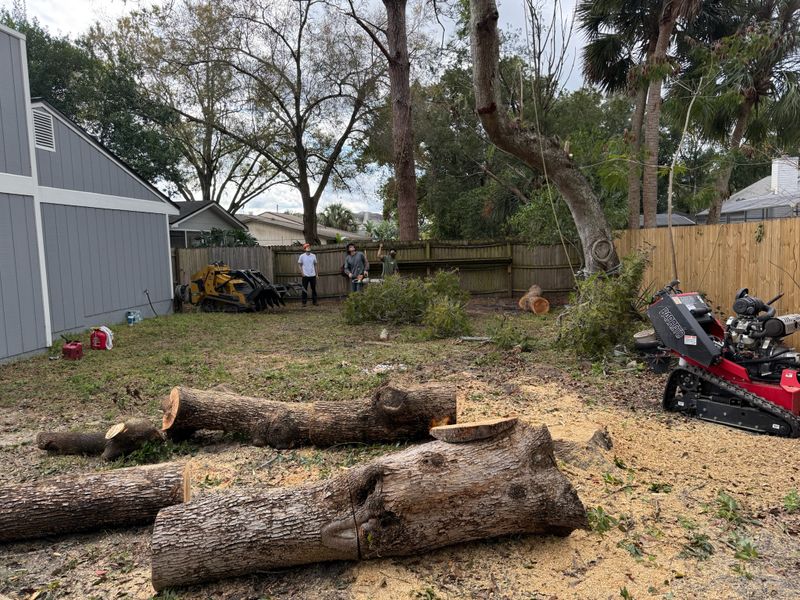 Land Clearing