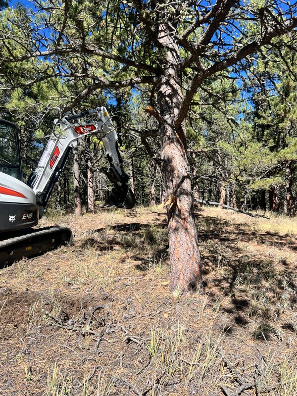Forestry Mulching