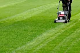 Lawn Mowing