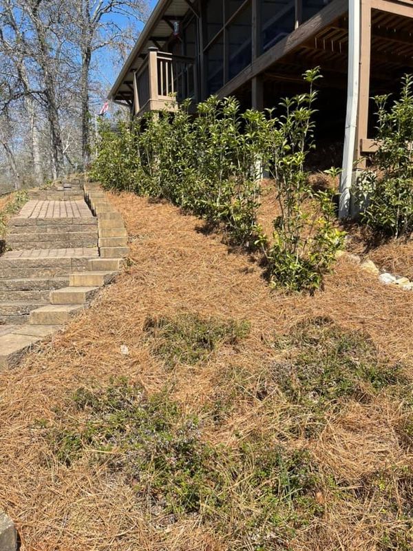 Retaining Walls