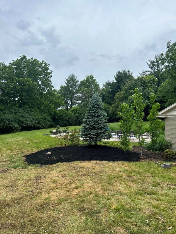 Mulch Installation