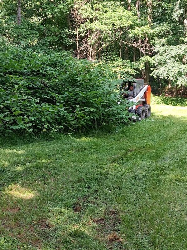 Land clearing