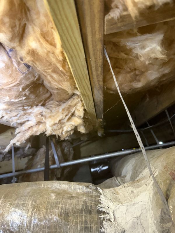 Crawl Space Encapsulation & Moisture Control | Virginia Beach